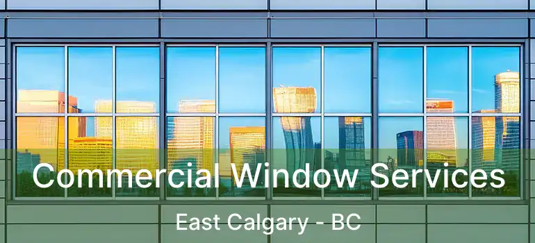  Commercial Window Services East Calgary - BC