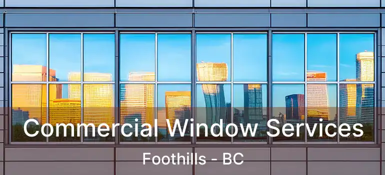  Commercial Window Services Foothills - BC