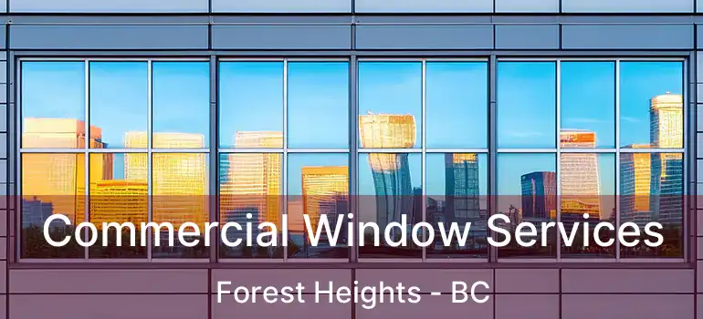  Commercial Window Services Forest Heights - BC