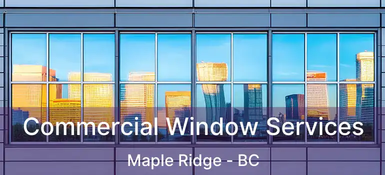  Commercial Window Services Maple Ridge - BC