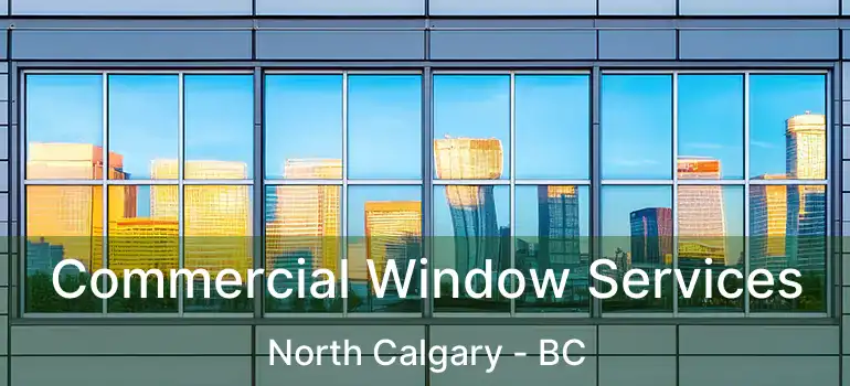  Commercial Window Services North Calgary - BC