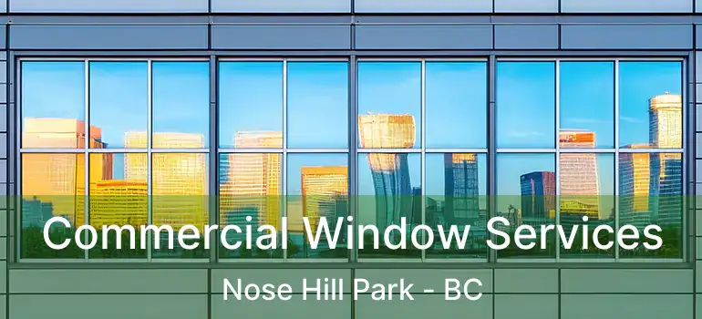  Commercial Window Services Nose Hill Park - BC