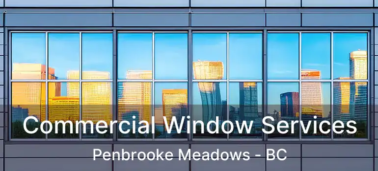  Commercial Window Services Penbrooke Meadows - BC