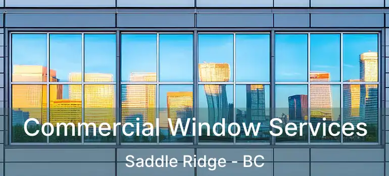  Commercial Window Services Saddle Ridge - BC