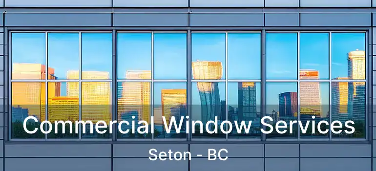  Commercial Window Services Seton - BC