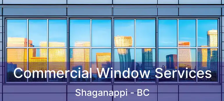  Commercial Window Services Shaganappi - BC