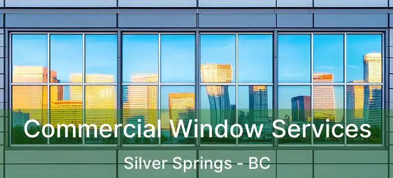  Commercial Window Services Silver Springs - BC