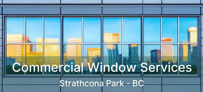  Commercial Window Services Strathcona Park - BC