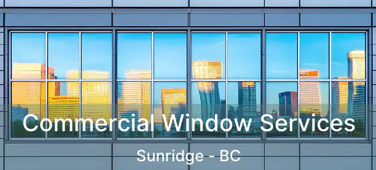  Commercial Window Services Sunridge - BC