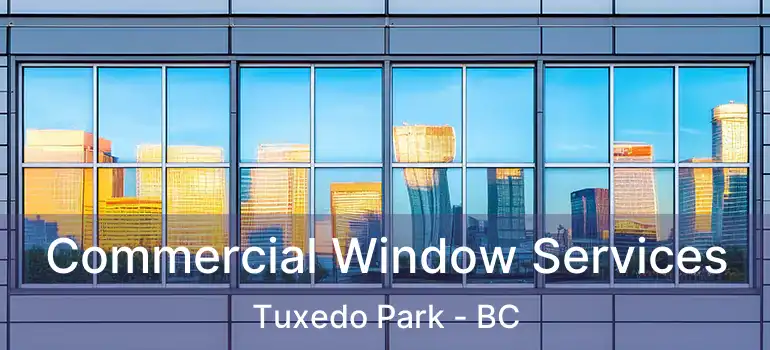  Commercial Window Services Tuxedo Park - BC