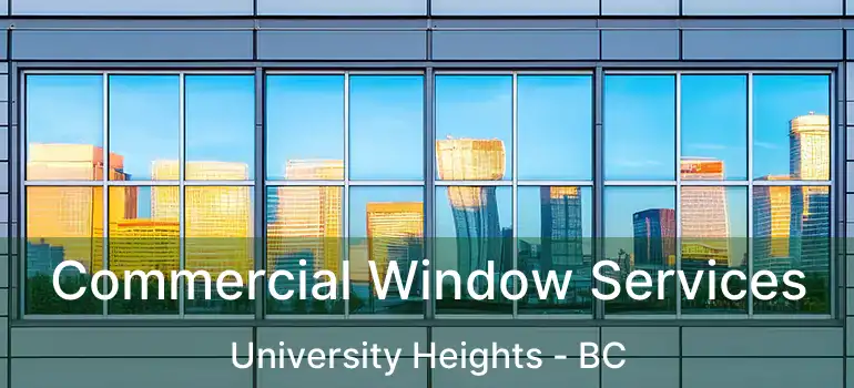  Commercial Window Services University Heights - BC