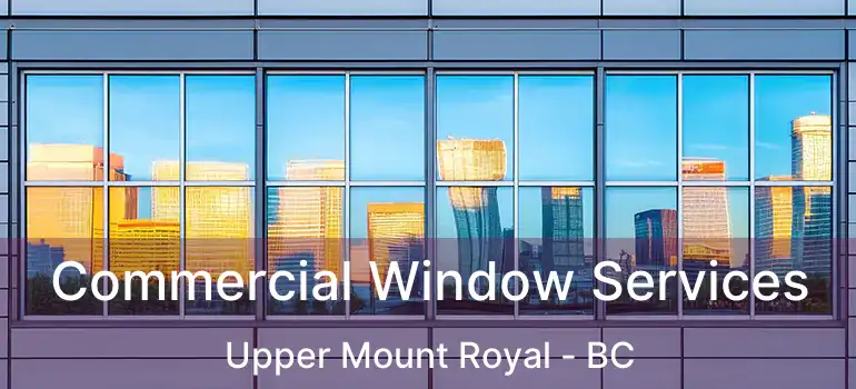  Commercial Window Services Upper Mount Royal - BC