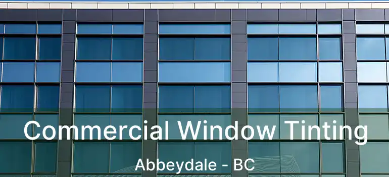  Commercial Window Tinting Abbeydale - BC