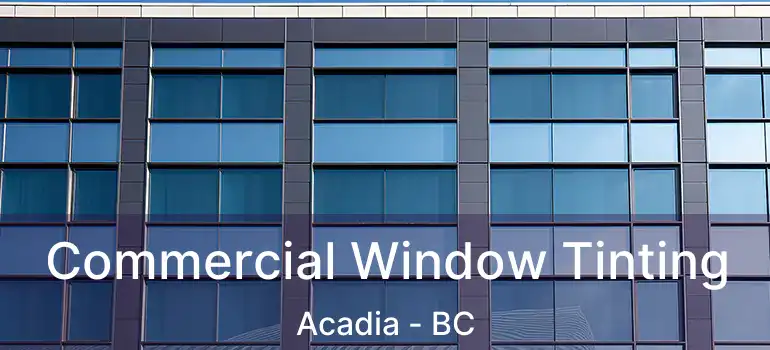  Commercial Window Tinting Acadia - BC