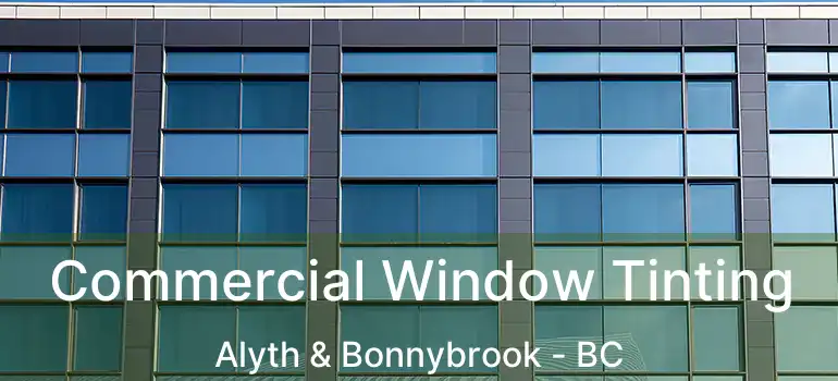  Commercial Window Tinting Alyth & Bonnybrook - BC
