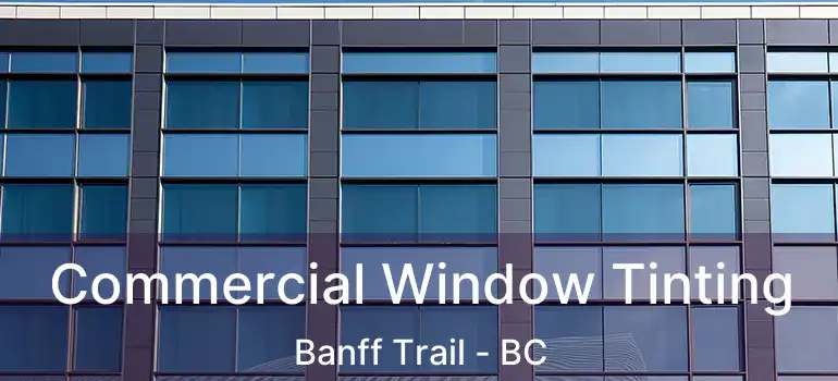  Commercial Window Tinting Banff Trail - BC