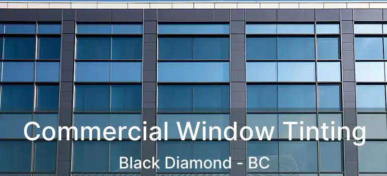  Commercial Window Tinting Black Diamond - BC