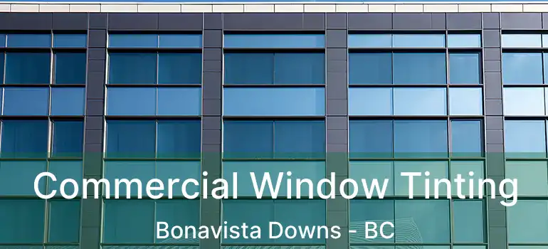  Commercial Window Tinting Bonavista Downs - BC