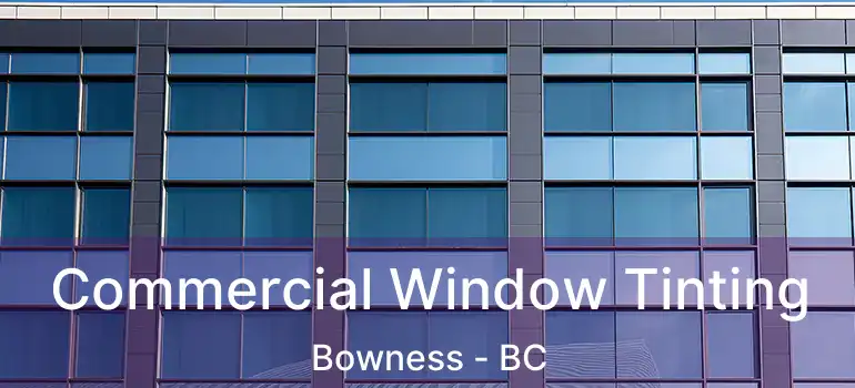  Commercial Window Tinting Bowness - BC