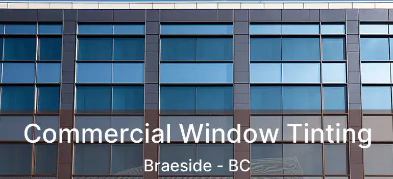  Commercial Window Tinting Braeside - BC