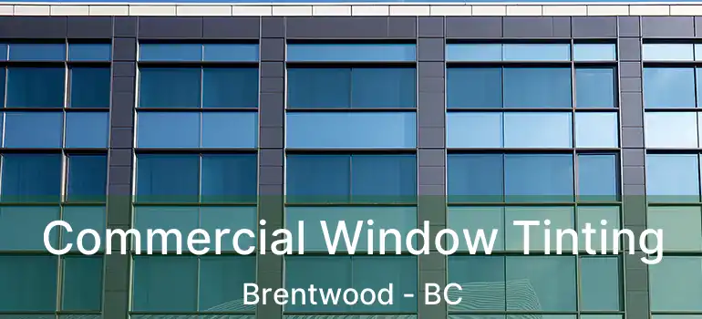  Commercial Window Tinting Brentwood - BC