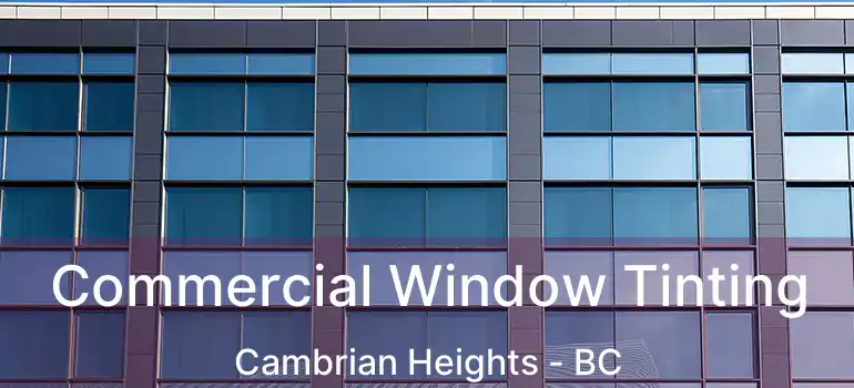  Commercial Window Tinting Cambrian Heights - BC