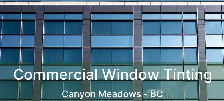  Commercial Window Tinting Canyon Meadows - BC