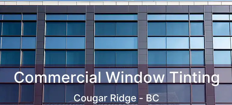  Commercial Window Tinting Cougar Ridge - BC