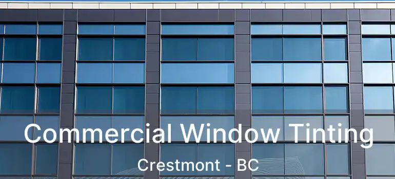  Commercial Window Tinting Crestmont - BC