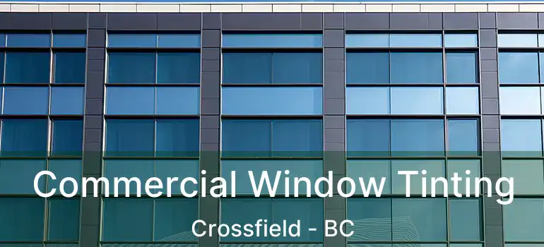  Commercial Window Tinting Crossfield - BC