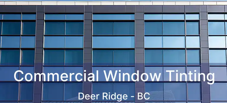  Commercial Window Tinting Deer Ridge - BC