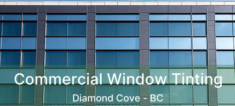  Commercial Window Tinting Diamond Cove - BC
