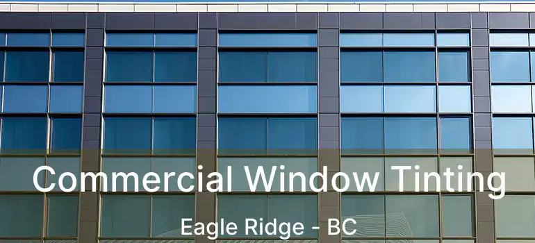  Commercial Window Tinting Eagle Ridge - BC