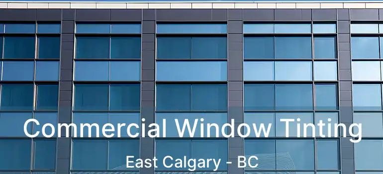  Commercial Window Tinting East Calgary - BC