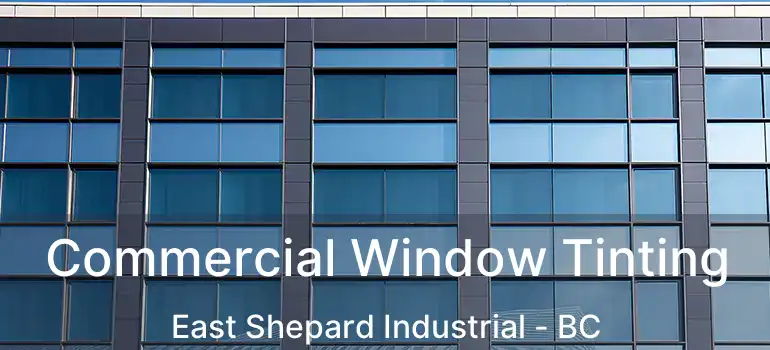  Commercial Window Tinting East Shepard Industrial - BC