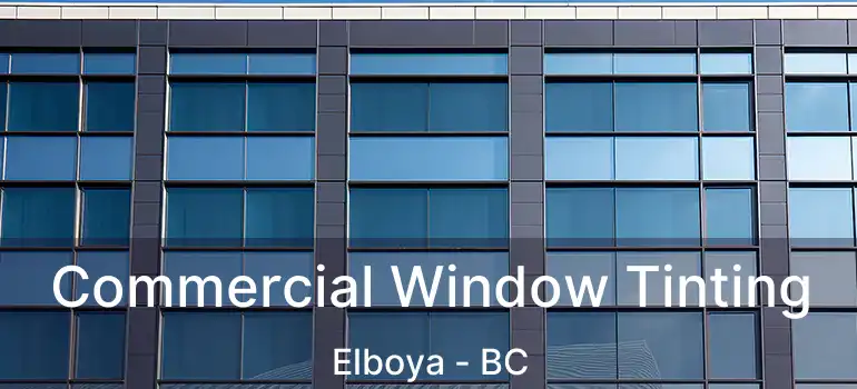  Commercial Window Tinting Elboya - BC