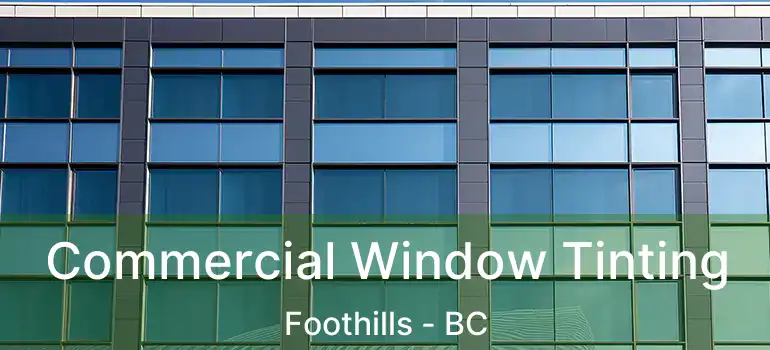  Commercial Window Tinting Foothills - BC