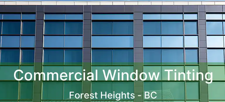  Commercial Window Tinting Forest Heights - BC