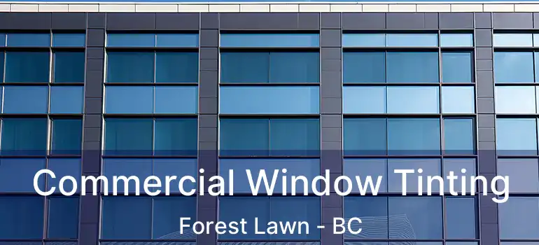  Commercial Window Tinting Forest Lawn - BC