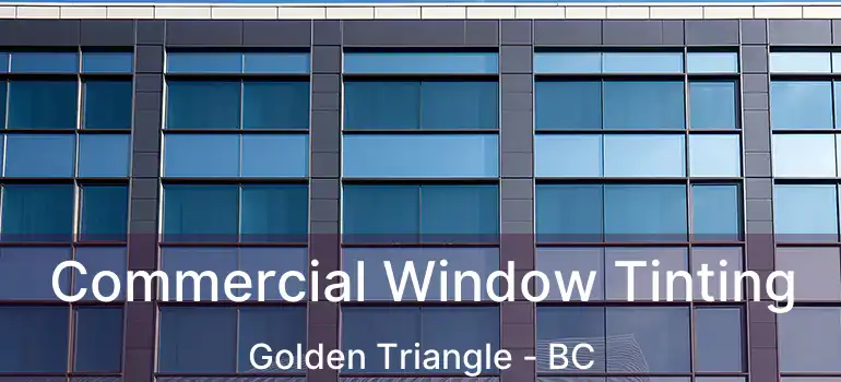  Commercial Window Tinting Golden Triangle - BC