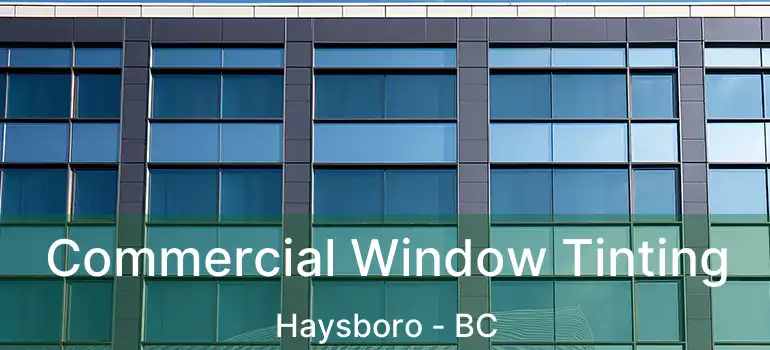  Commercial Window Tinting Haysboro - BC