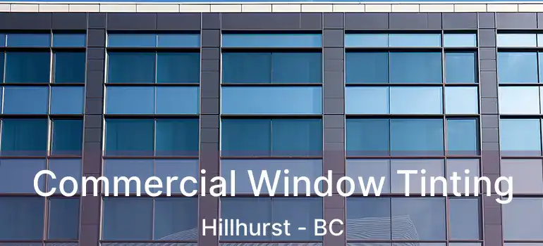  Commercial Window Tinting Hillhurst - BC