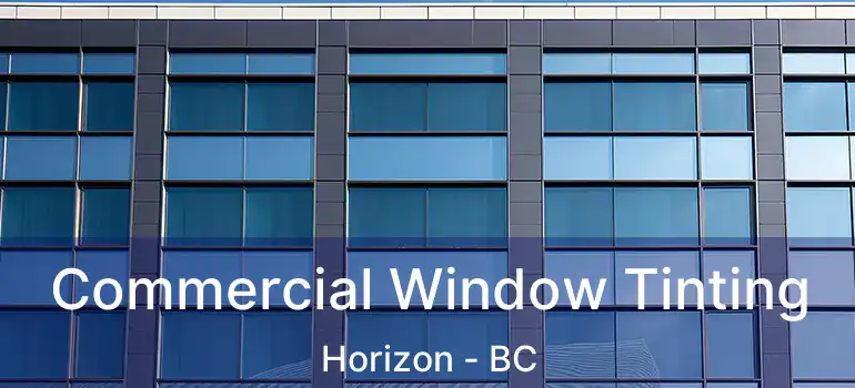  Commercial Window Tinting Horizon - BC