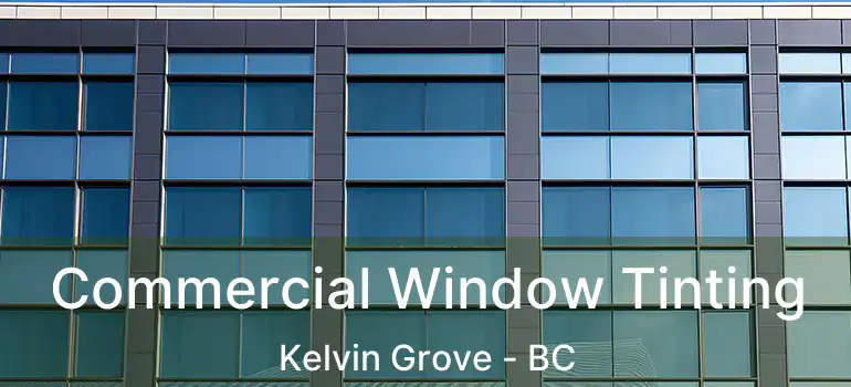  Commercial Window Tinting Kelvin Grove - BC