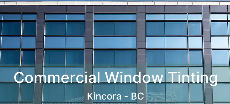  Commercial Window Tinting Kincora - BC