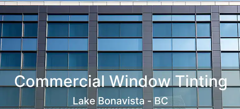  Commercial Window Tinting Lake Bonavista - BC