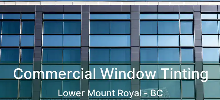  Commercial Window Tinting Lower Mount Royal - BC