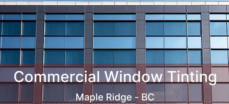  Commercial Window Tinting Maple Ridge - BC