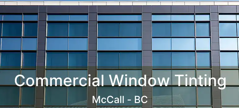  Commercial Window Tinting McCall - BC
