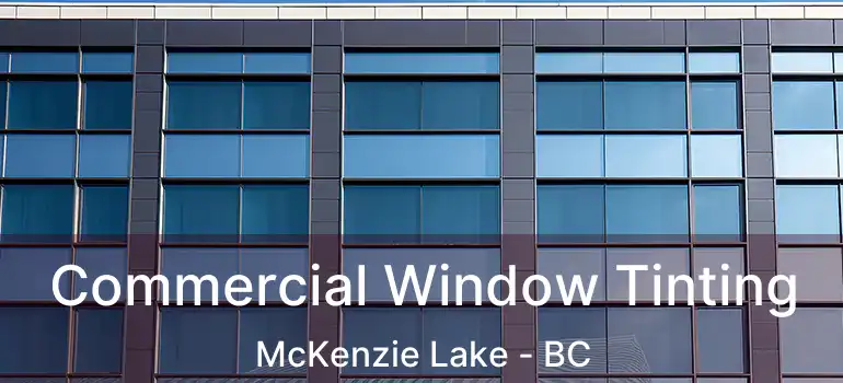  Commercial Window Tinting McKenzie Lake - BC